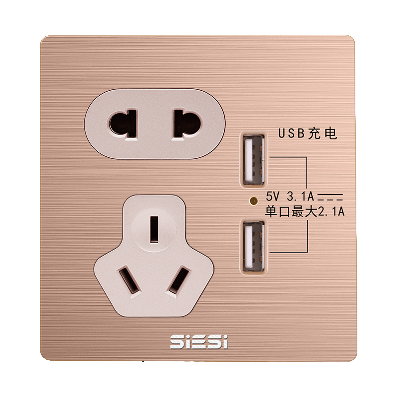10A二三极插座带双USB-V6玫瑰金-d88尊龙官方网照明官网