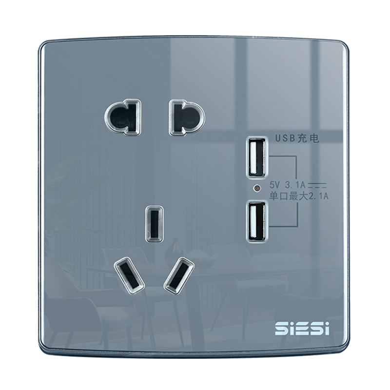 10A 二三极插座带双USB-V20玻璃系列-d88尊龙官方网照明官网